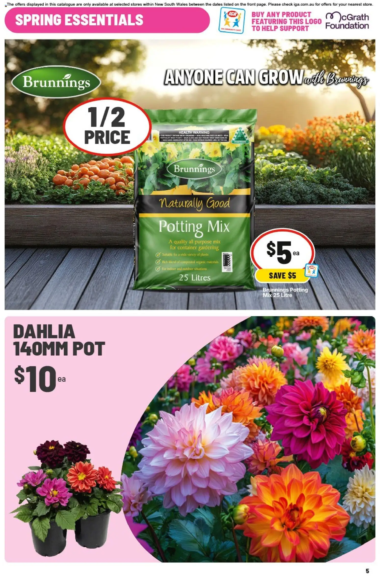 IGA catalogue - valid from 09/09/2026 | Page: 6 | Products: Pot, Foundation