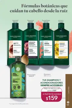 Vista previa de Yves Rocher campaña 13 2026, nuevo folleto de la tienda, válido en México a partir del 15/09/2026 | Página: 105 | Productos: Shampoo, Botella, Té, Champú