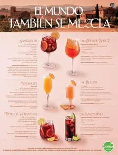 Jumbo catálogo VENDIMIA -  Vista previa de la revista de la tienda Jumbo valido desde el 10/09/2026 | Página: 13 | Productos: Jugo de naranja, Vino tinto, Hielo, Alcohol