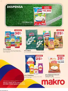 Makro catálogo -  Vista previa de la revista de la tienda Makro valido desde el 12.06.2026 | Página: 21