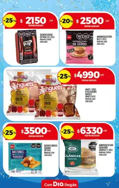 Vista previa Supermercado DIA Ofertas válido desde el 10.06.2026 | Página: 17 | Productos: Pollo, Cerdo
