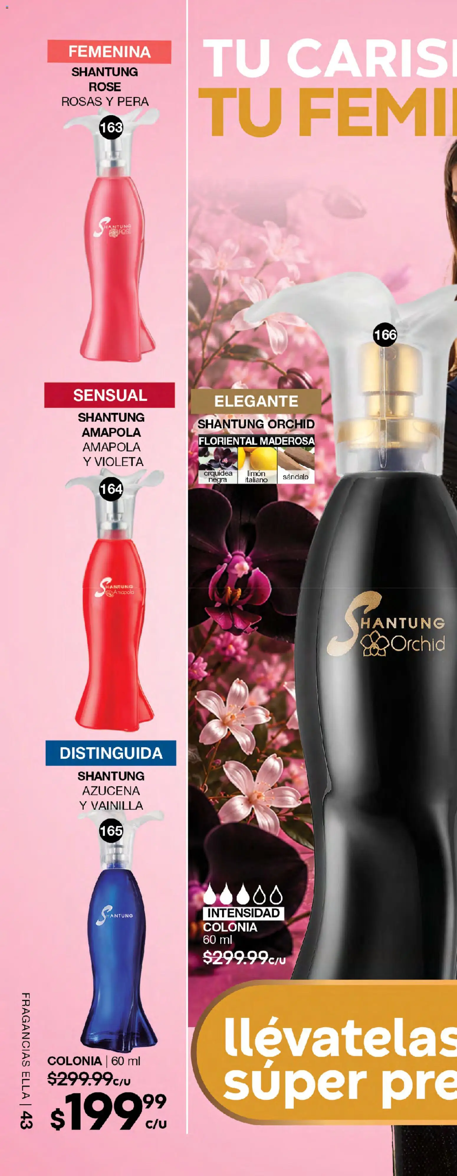 Nuevas ofertas de Fuller válidas en toda la República Mexicana desde el 05/08/2026. ¡Encuentra las mejores ofertas en Fuller campaña 9 2026! | Página: 42 | Productos: Pera, Limón, Amapola, Orquídea