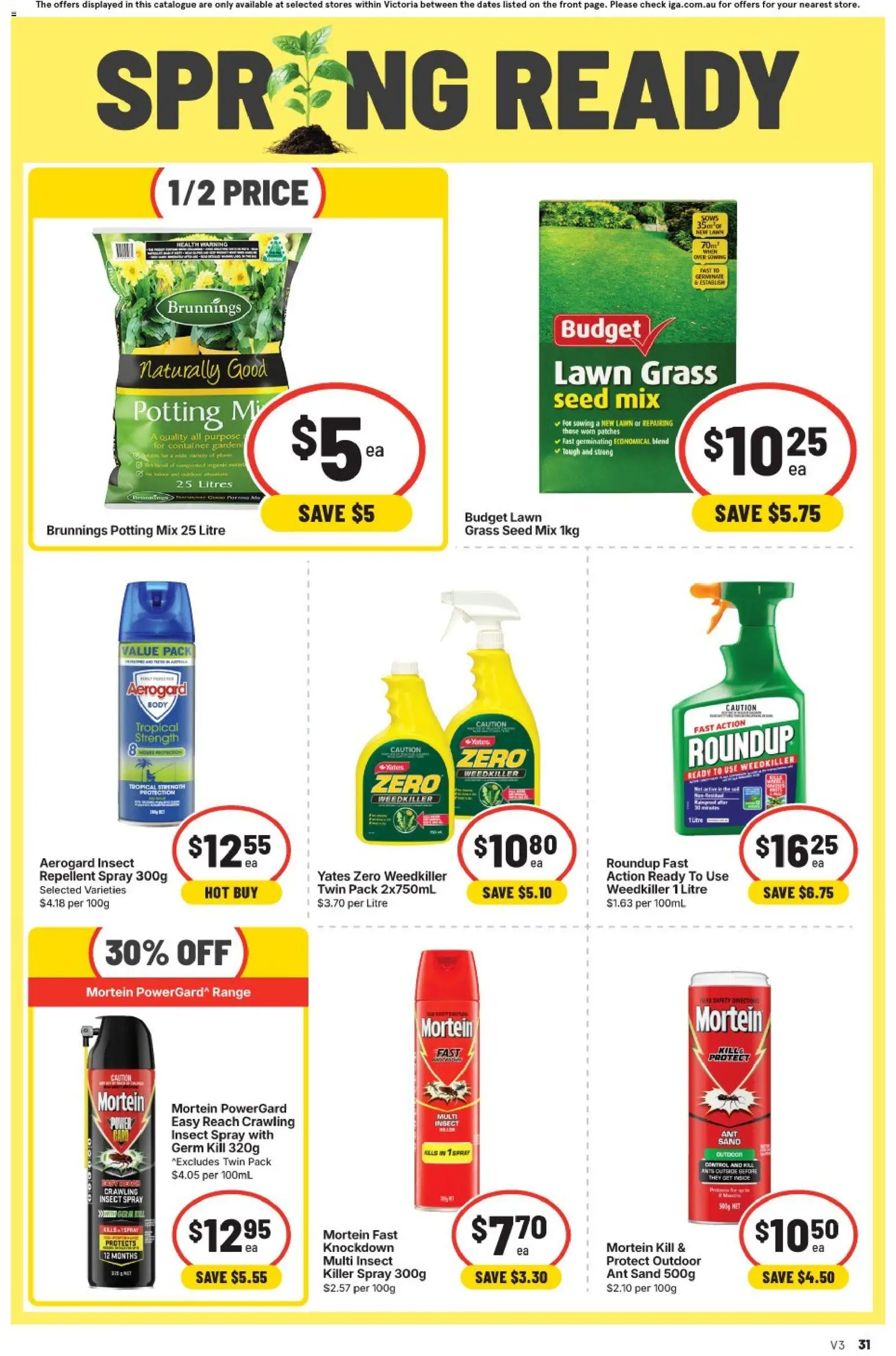 IGA catalogue - valid from 30/09/2026 | Page: 37 | Products: Grass
