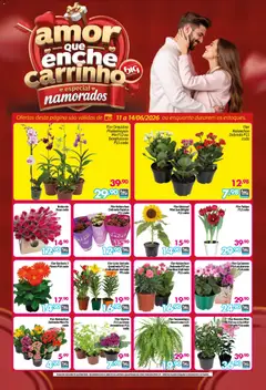 Big Compra ofertas Especial Namorados - Pré-Visualização do folheto da loja Big Compra, válido de 11.06.2026