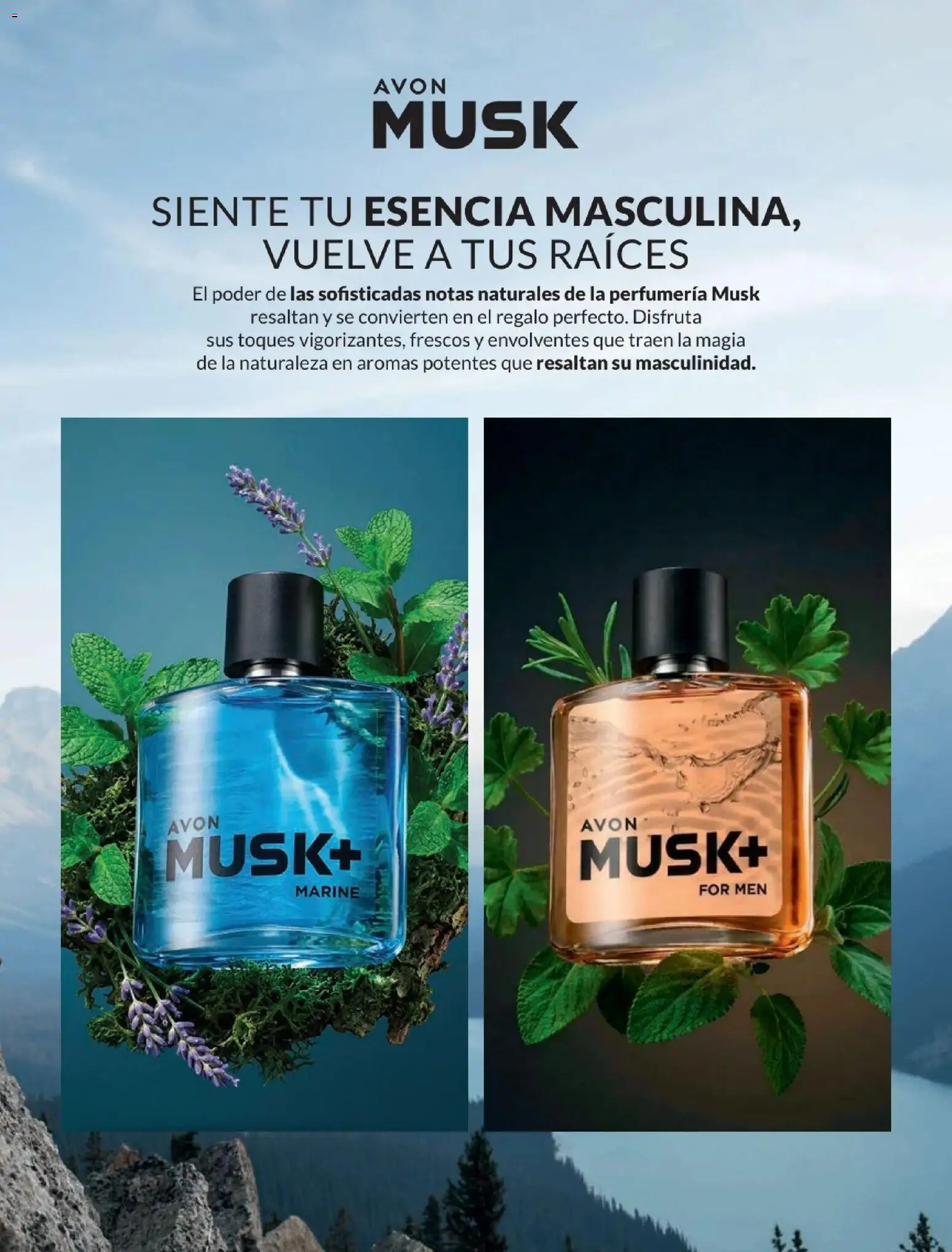 Catálogo Avon válido desde 24.05.2026 | Página: 7