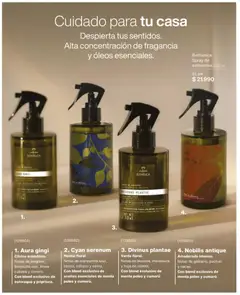 Natura Ofertas válido desde el 30.04.2026 | Página: 179 | Productos: Fragancia