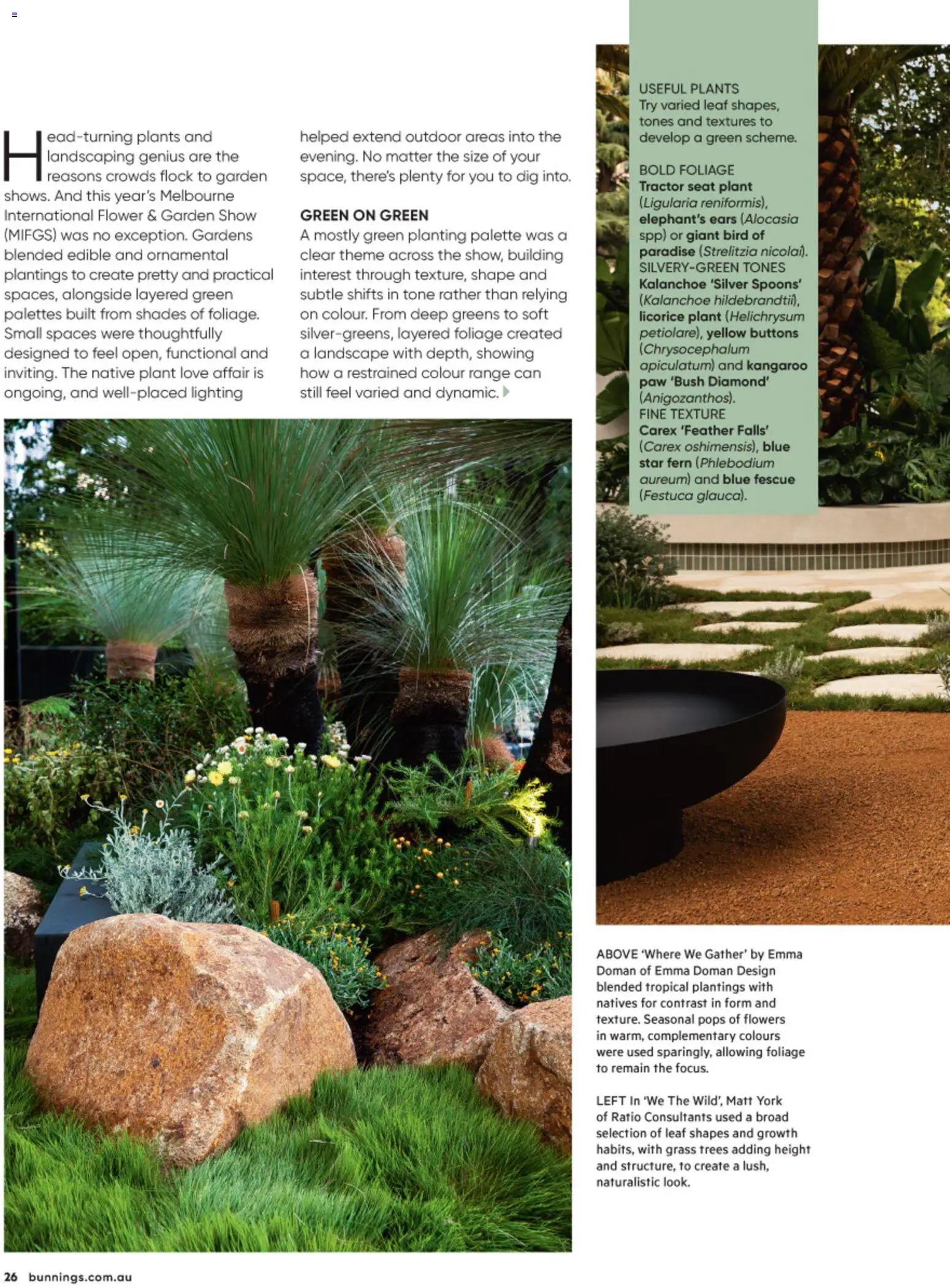 Bunnings Warehouse catalogue - valid from 01/08/2026 | Page: 26 | Products: Grass, Plant, Flowers, Greens