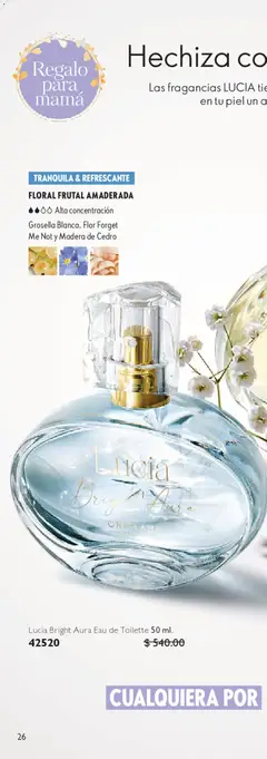 Vista previa de Oriflame campaña 6 2026, nuevo folleto de la tienda, válido en México a partir del 18.04.2026 | Página: 50 | Productos: Iluminador, Aceite, Bronceador, Rubor