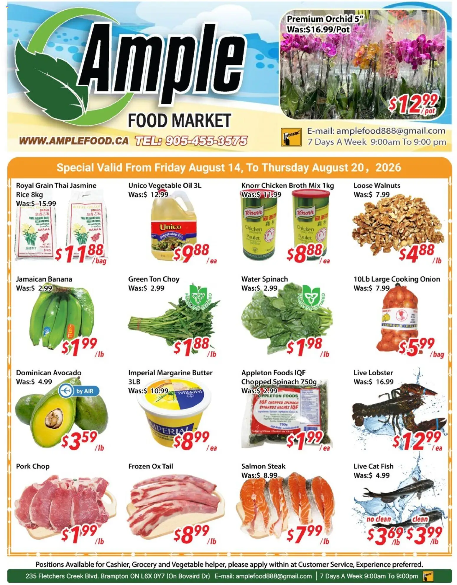Ample Food Market flyer valid from Aug 14, 2026 | Page: 1 | Products: Walnuts, Onion, Oil, Pork