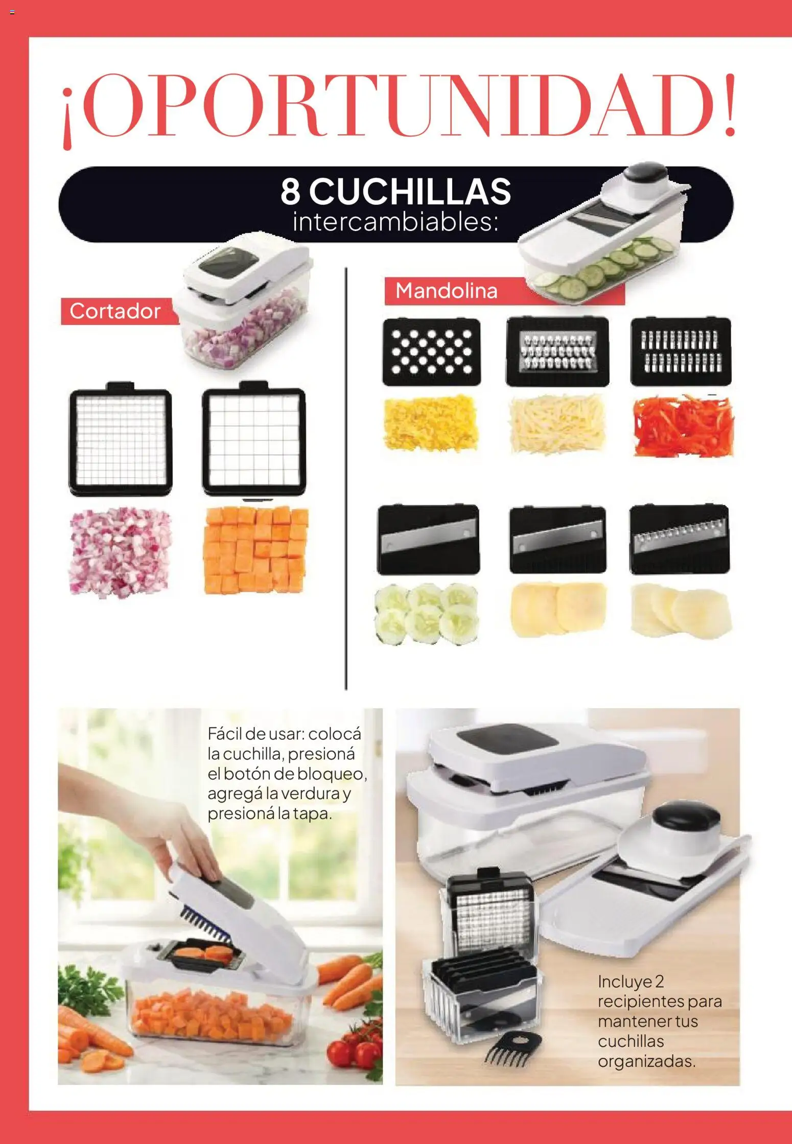 Tupperware catálogo │ válido desde el 30/10/2026 | Página: 43