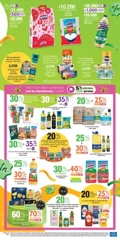 Jumbo catálogo Aniversario -  Vista previa de la revista de la tienda Jumbo valido desde el 24/09/2026 | Página: 4 | Productos: Arroz, Salsas, Sardinas, Coco