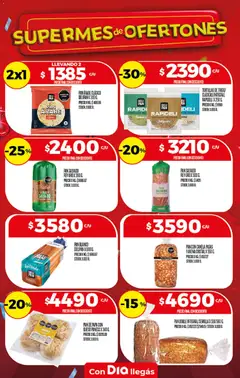 Vista previa PAN ÁRABE CLÁSICO DELIPAN X 300 G., PAN ÁRABE CLÁSICO DELIPAN X 300 G. válido desde el 15/07/2026 | Página: 19