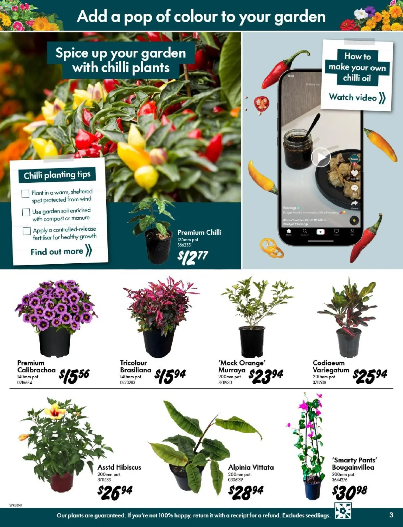 Bunnings Warehouse catalogue - valid from 09/09/2026 | Page: 3