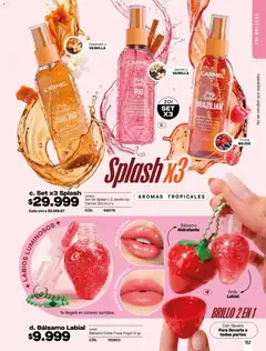 Carmel catálogo C13/2026 -  Vista previa de la revista de la tienda Carmel valido desde el 11/08/2026 | Página: 157