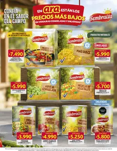Ara catálogo -  Vista previa de la revista de la tienda Ara valido desde el 01/10/2026 | Página: 6
