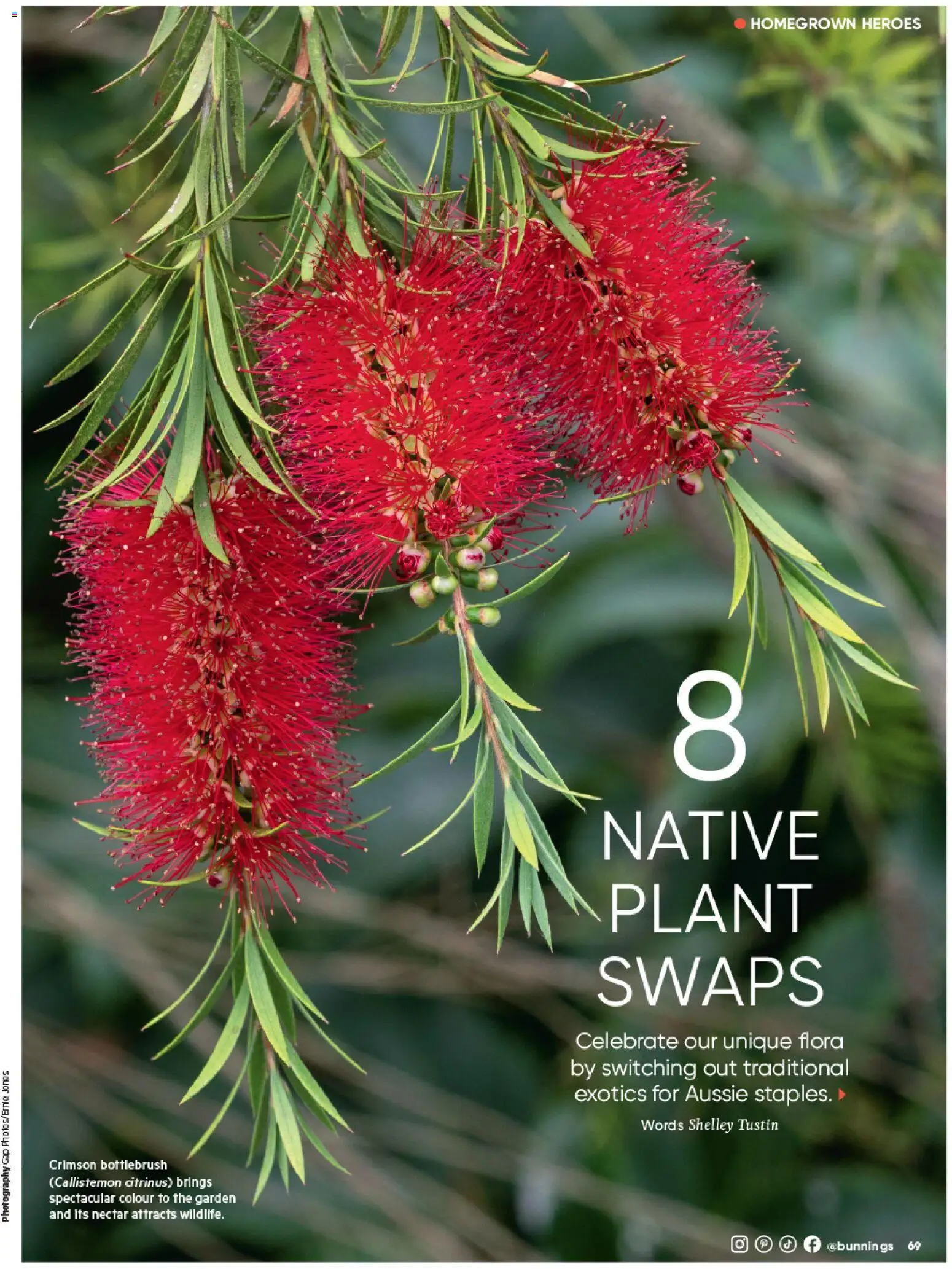 Bunnings Warehouse catalogue - valid from 01/11/2026 | Page: 69