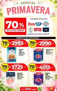 Vista previa Supermercado DIA Especial Primavera válido desde el 16/09/2026