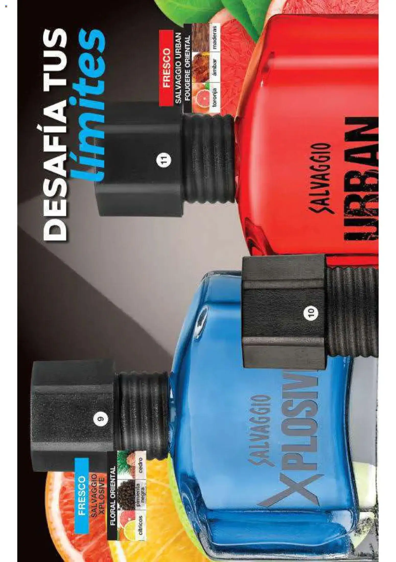 Nuevas ofertas de Fuller válidas en toda la República Mexicana desde el 16/09/2026. ¡Encuentra las mejores ofertas en Fuller campaña 12 2026! | Página: 15 | Productos: Pimienta, Toronja, Cítricos