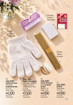 Vista previa Catálogo Amodil Campaña 17 válido desde el 01/10/2026 | Página: 143 | Productos: Chapa, Cepillo, Exfoliante, Guante exfoliante