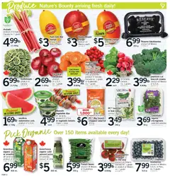 Preview of Fortinos weekly flyer / circulaire from shop Fortinos valid from 28.05.2026 | Page: 3