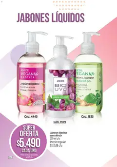Vista previa Catálogo Amodil Campaña 9 válido desde el 05.05.2026 | Página: 84 | Productos: Jabón líquido, Jabón, Té