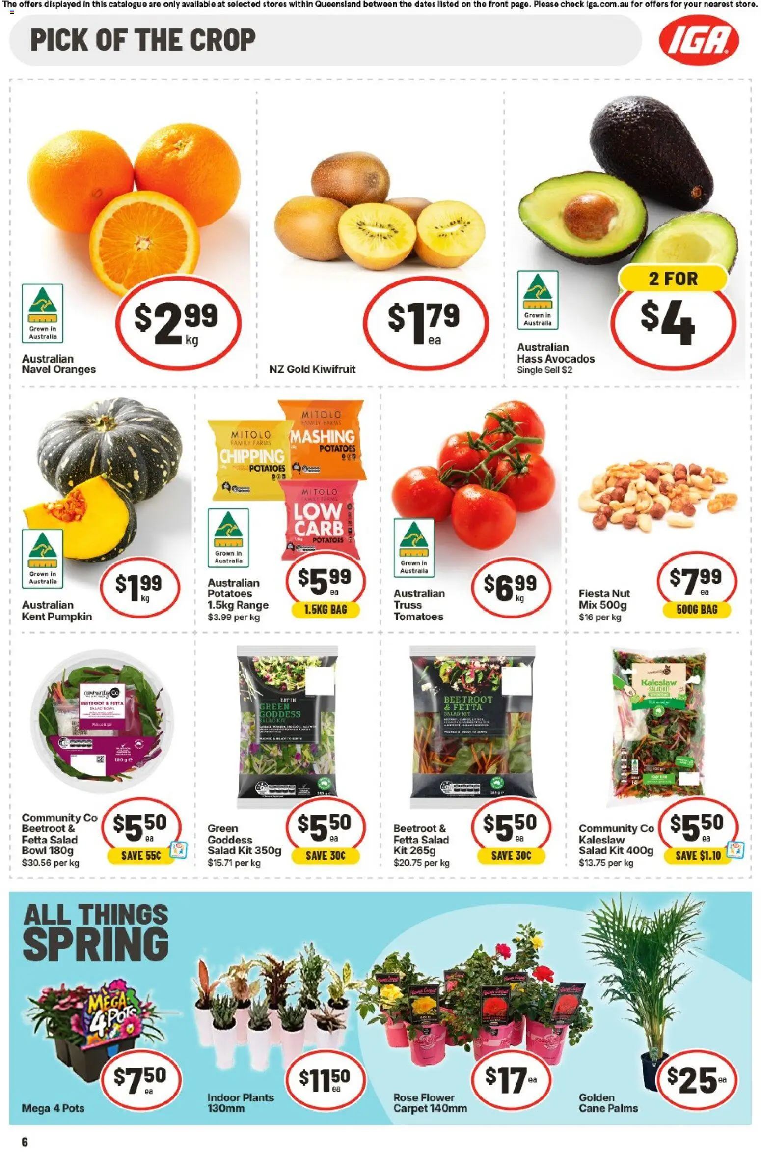IGA catalogue - valid from 16/09/2026 | Page: 7 | Products: Oranges, Tomatoes, Beetroot, Bag