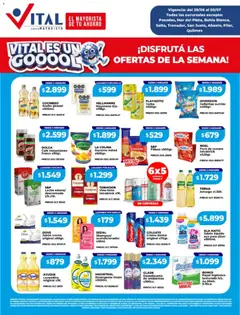 Vista previa Vital - Ofertas válido desde el 29/06/2026