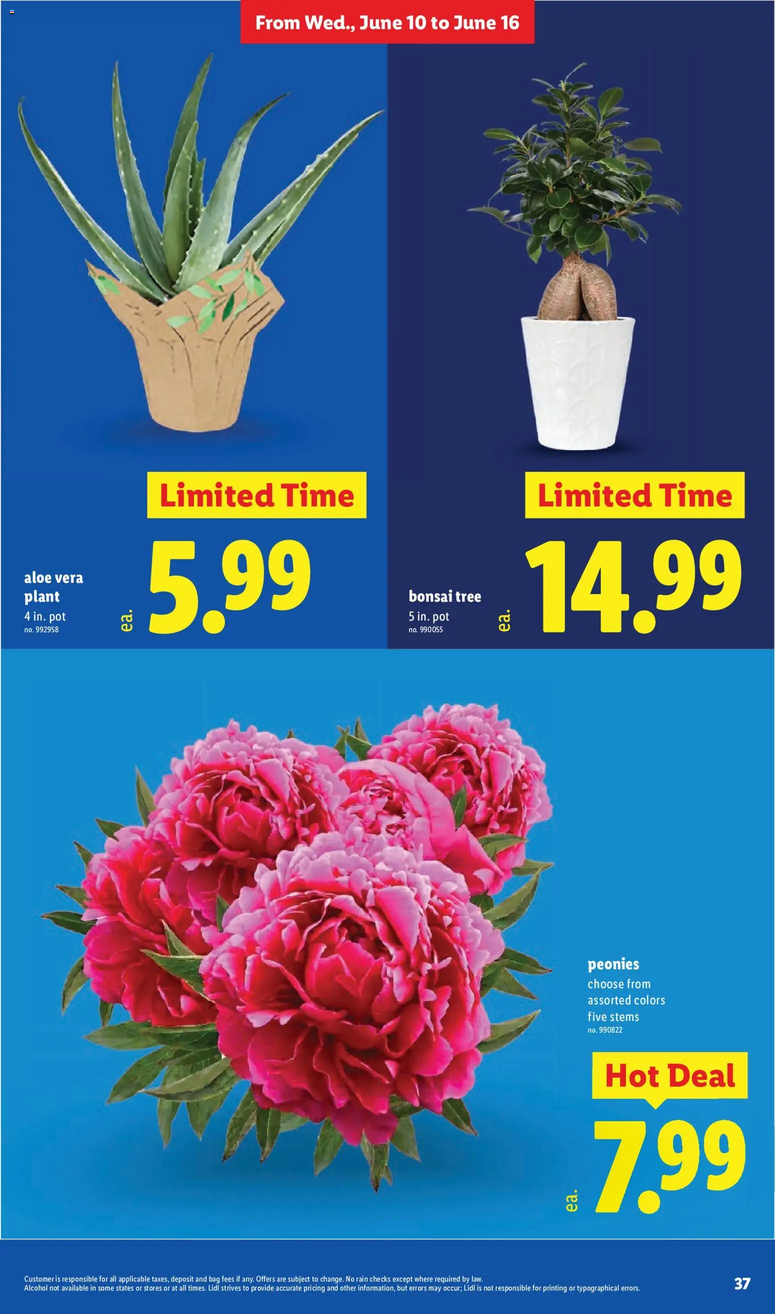 Lidl Weekly Ad - valid from 10.06.2026 | Page: 37 | Products: Aloe Vera, Bag