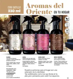 Vista previa Millanel - Catálogo válido desde el 27.04.2026 | Página: 151 | Productos: Fragancia, Ananá, Nuez, Cacao