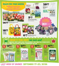 Preview of Thrifty Foods weekly flyer / circulaire from shop Thrifty Foods valid from Sep 17, 2026 | Page: 18