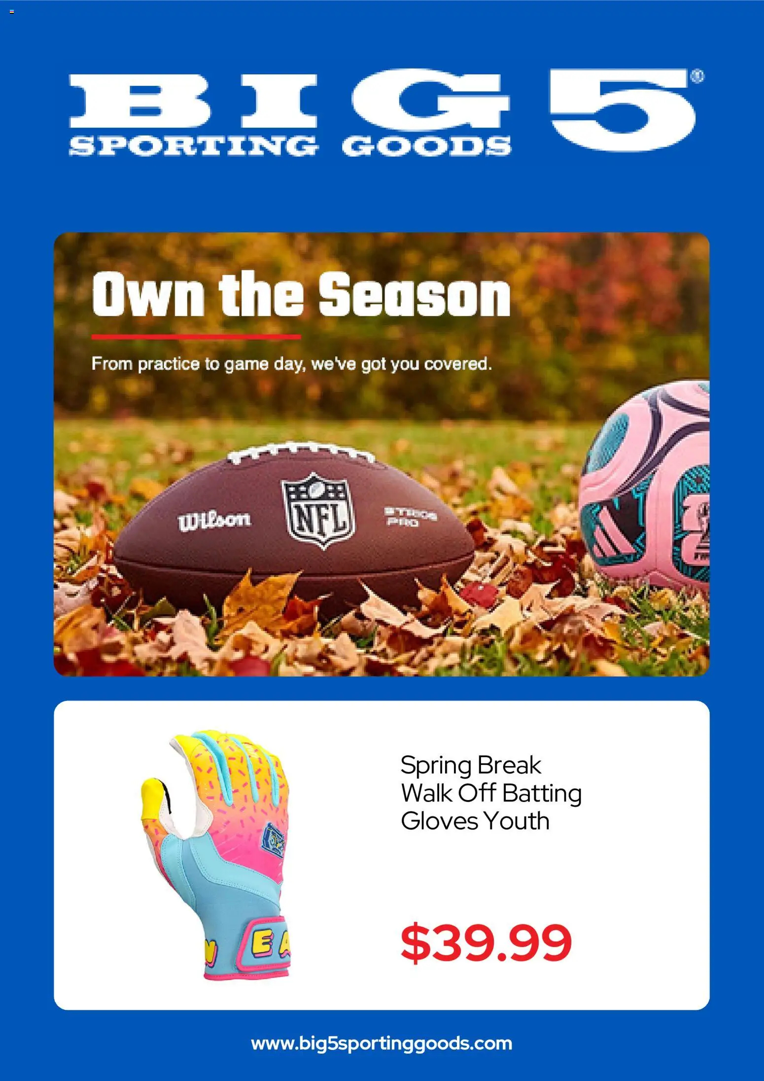 Big 5 Sporting Goods Weekly Ad - valid from 10/19/2026 | Page: 1