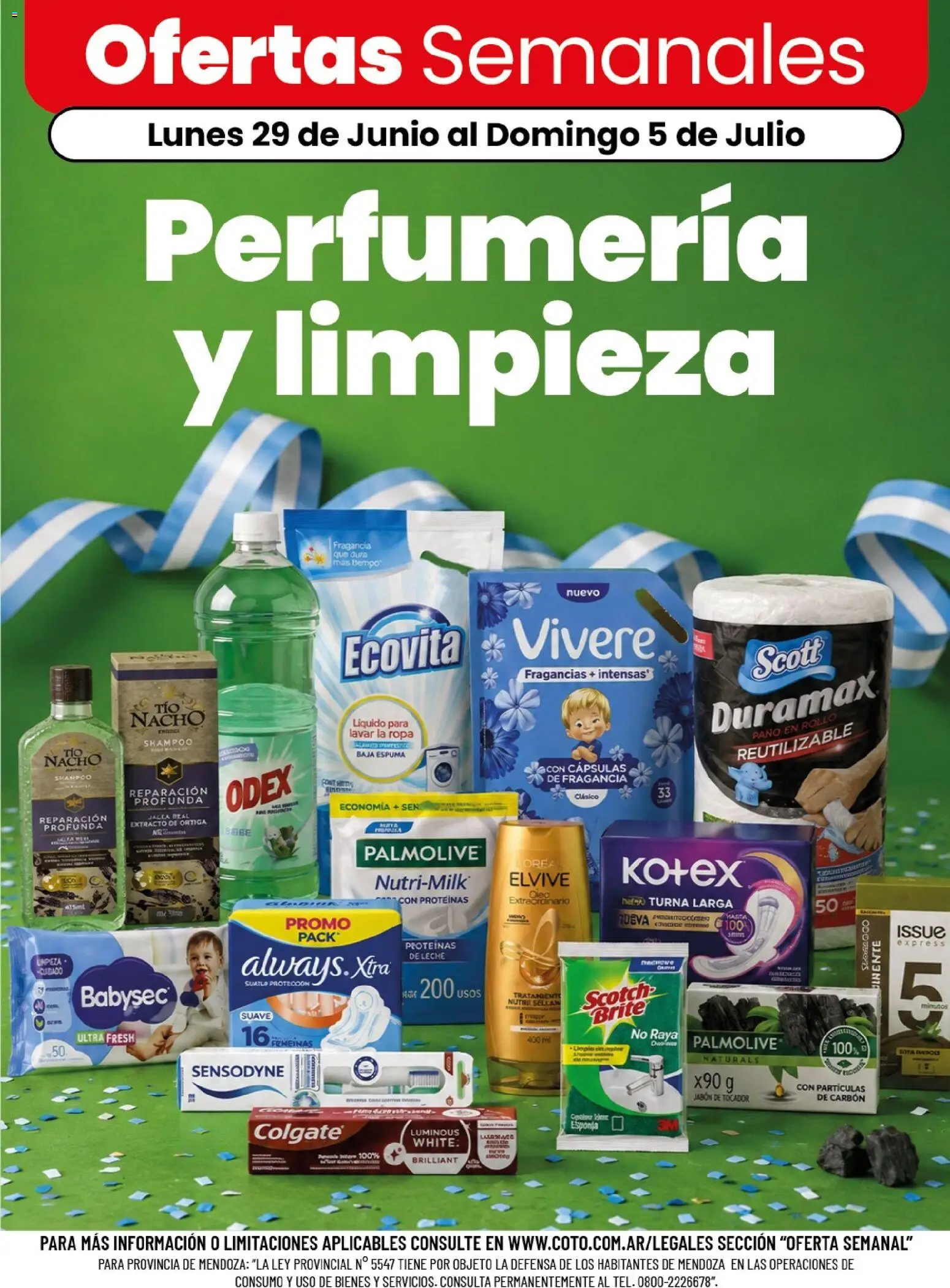 Coto - Perfumería y limpieza │ válido desde el 29/06/2026 | Página: 1 | Productos: Shampoo, Jabón, Espuma, Leche