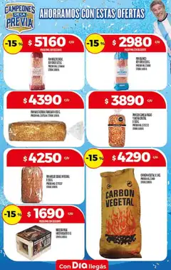 Vista previa Supermercado DIA Ofertas válido desde el 20.05.2026 | Página: 33 | Productos: Molde, Pan
