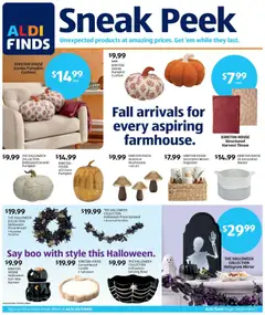 Preview of Aldi weekly ads valid from 09/02/2026