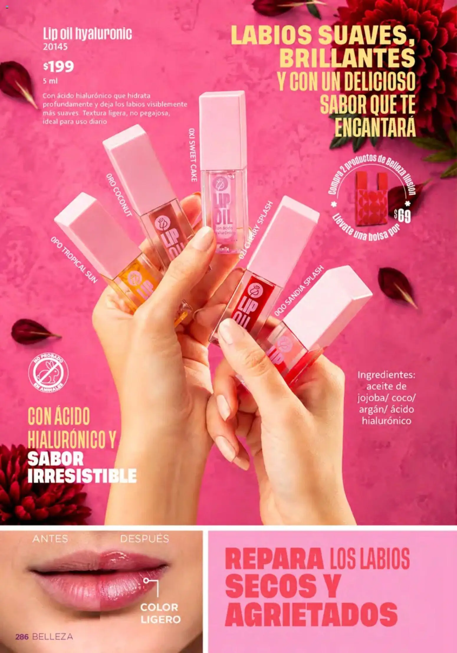 Nuevas ofertas de Ilusión válidas en toda la República Mexicana desde el 01/10/2026. ¡Encuentra las mejores ofertas en Ilusión catálogo Invierno! | Página: 288 | Productos: Sandía, Bolsa, Ingredientes, Té