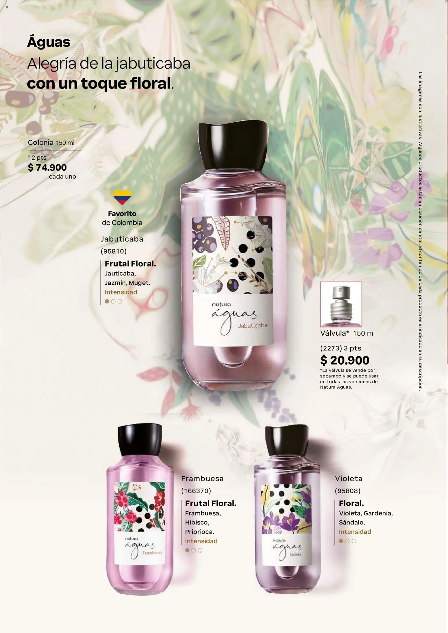 Natura revista - valida desde el 11.06.2026 | Página: 41 | Productos: Agua, Válvula