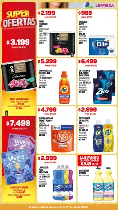 Vista previa Makro ofertas válido desde el 11.06.2026 | Página: 14 | Productos: Lavandina, Pañuelo, Fragancia, Espuma