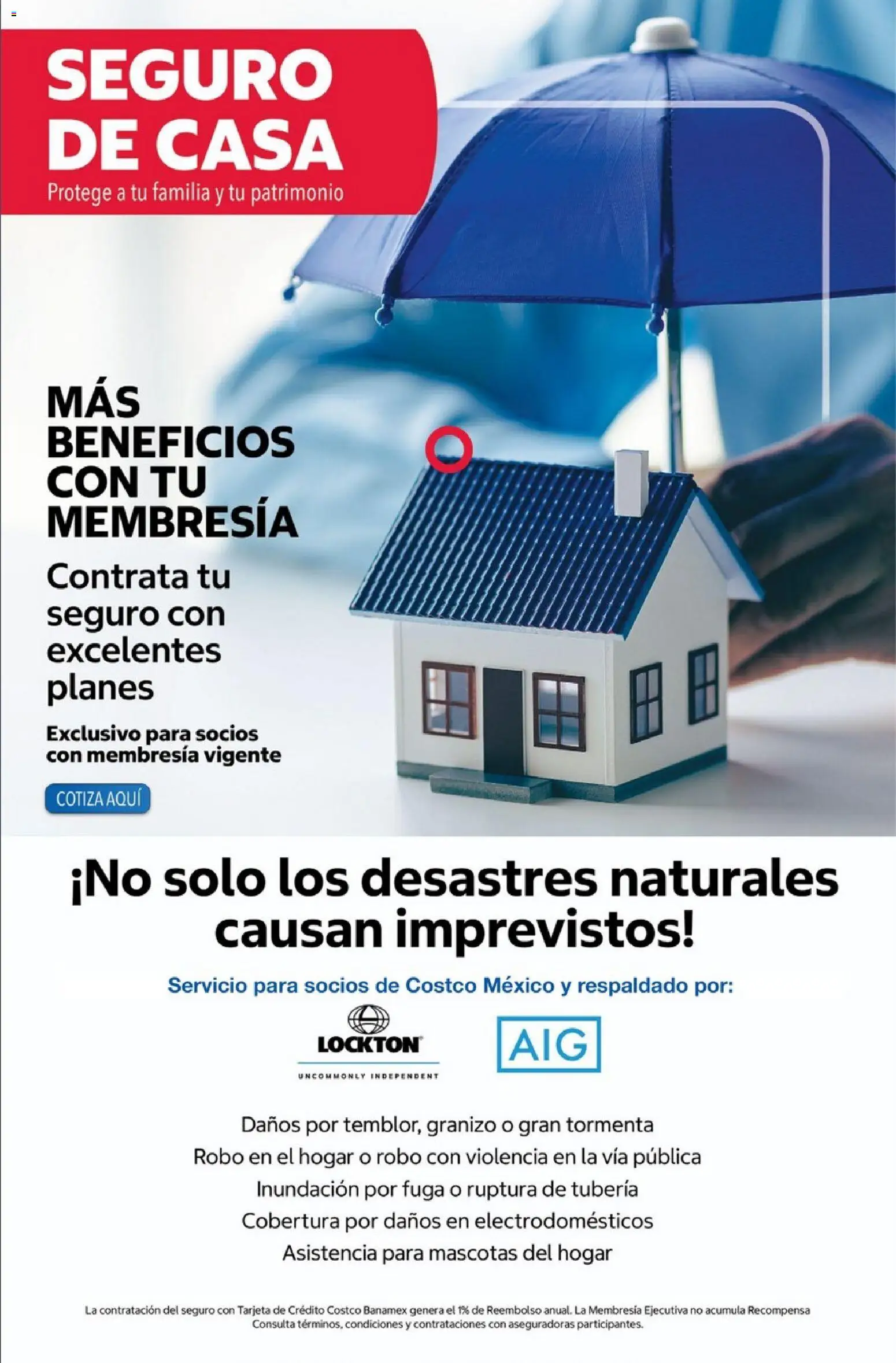Nuevas ofertas de Costco válidas en toda la República Mexicana desde el 01/08/2026. ¡Encuentra las mejores ofertas en Costco catálogo Agosto! | Página: 10