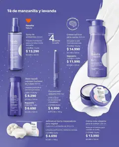 Natura catálogo válido desde el 15.09.2026 | Página: 159 | Productos: Caja, Ducha, Té, Jabón líquido
