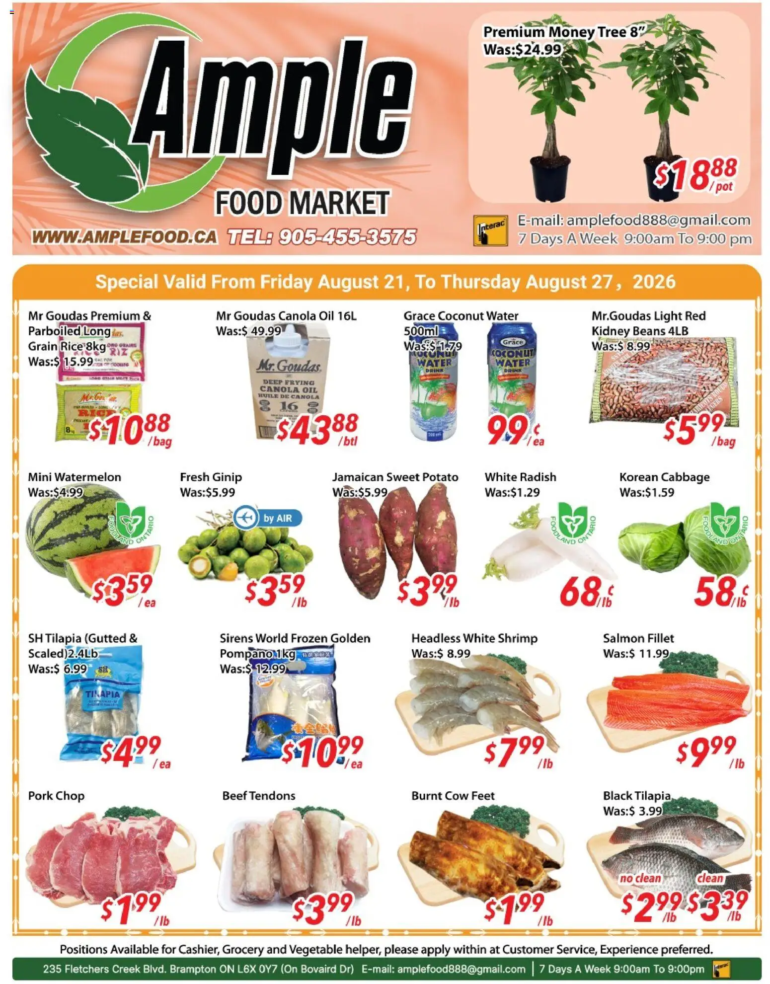 Ample Food Market flyer valid from Aug 21, 2026 | Page: 1 | Products: Tilapia, Cabbage, Pork chop, Pork