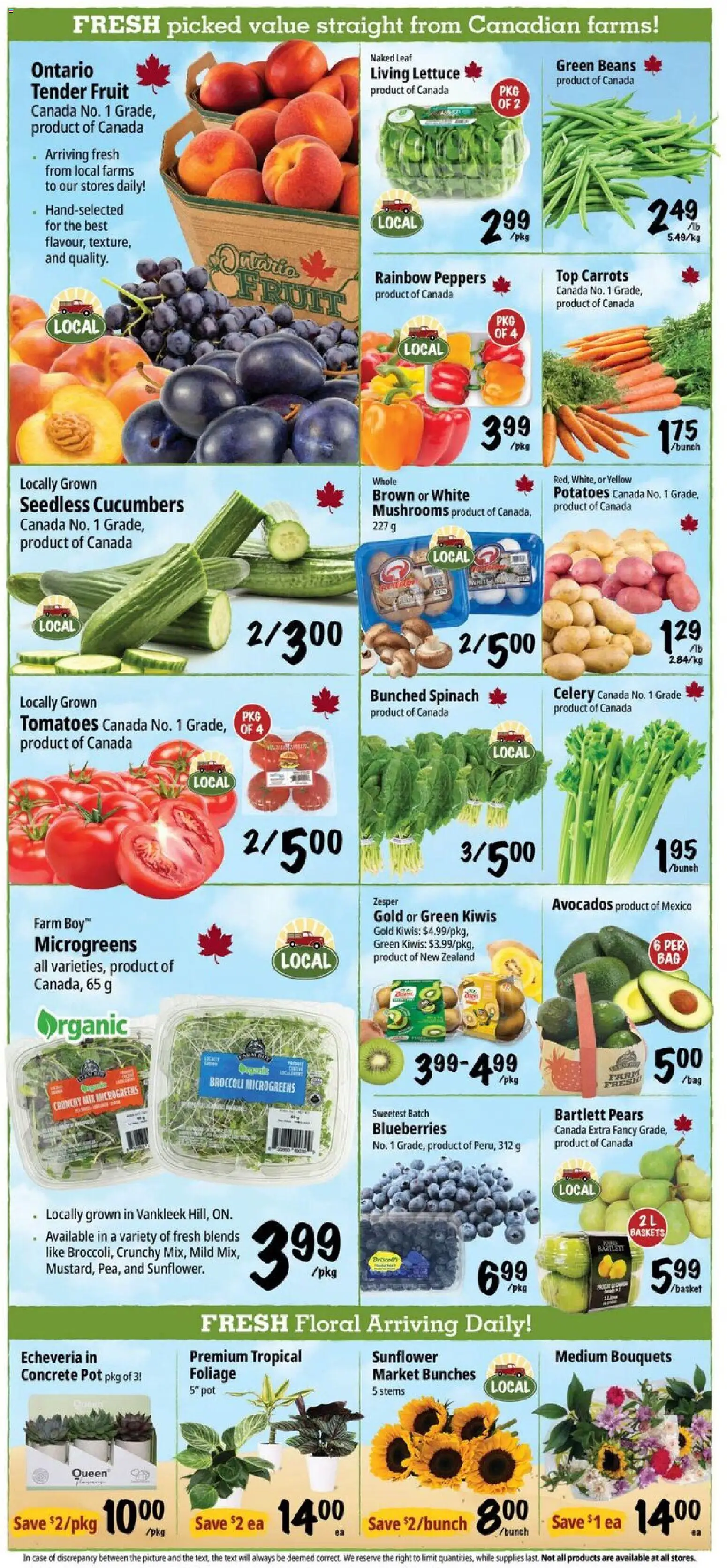 Farm Boy flyer valid from Sep 3, 2026 | Page: 4 | Products: Potatoes, Case, Carrots, Spinach