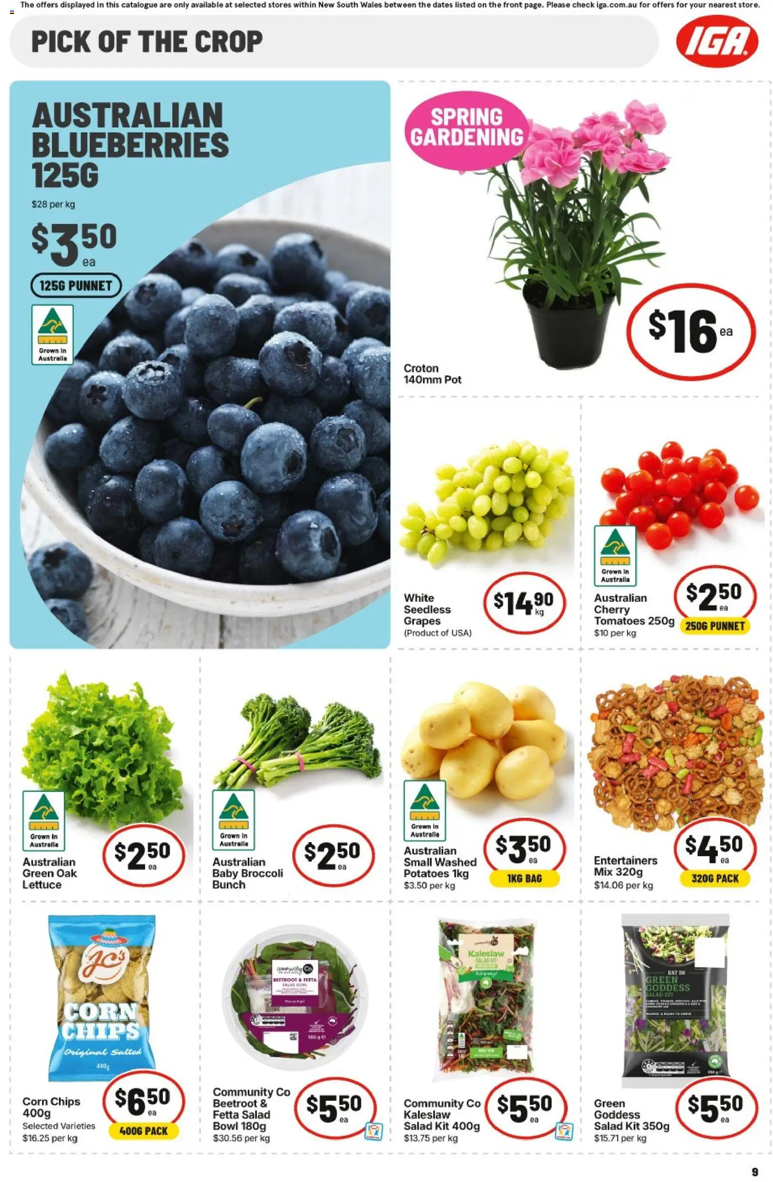 IGA catalogue - valid from 16/09/2026 | Page: 10 | Products: Corn, Lettuce, Salad, Beetroot