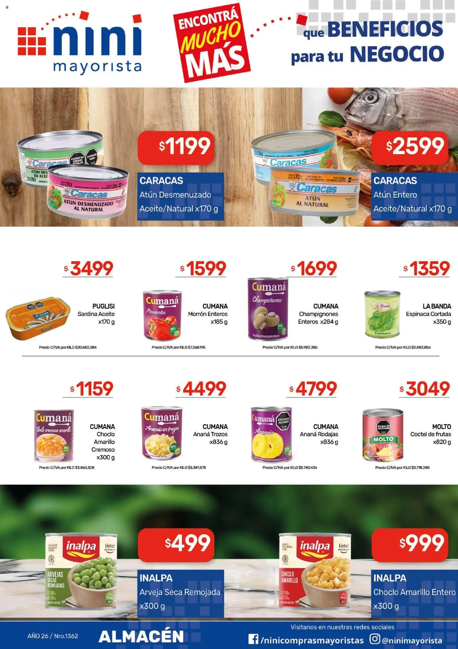 NINI Mayorista ofertas │ válido desde el 01.06.2026 | Página: 25 | Productos: Aceite, Arvejas, Ananá, Espinaca