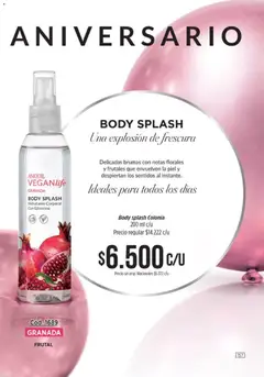 Vista previa Amodil - Campaña 10 válido desde el 01.06.2026 | Página: 157 | Productos: Body