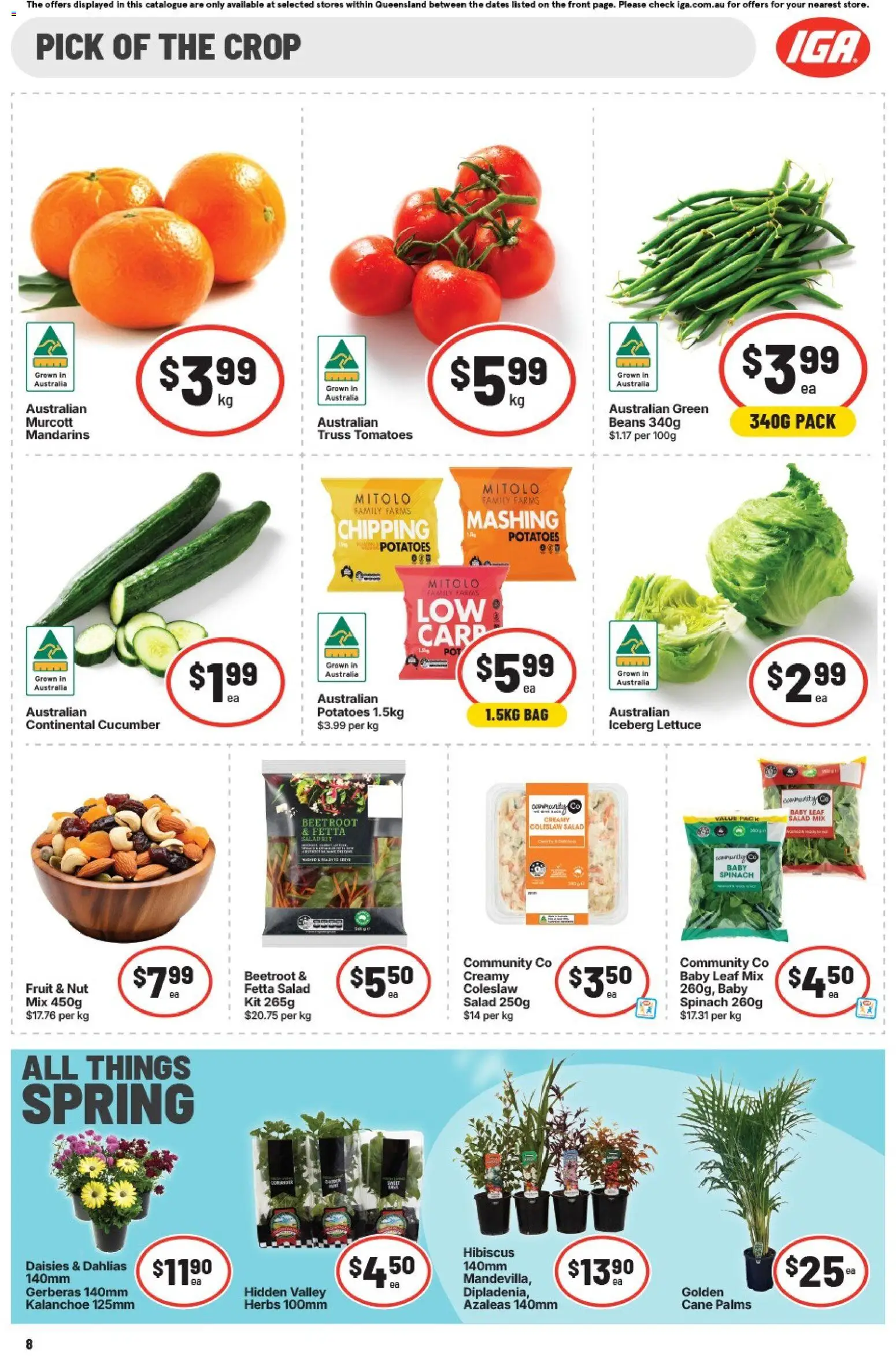 IGA catalogue - valid from 26/08/2026 | Page: 8 | Products: Herbs, Lettuce, Beans, Bag