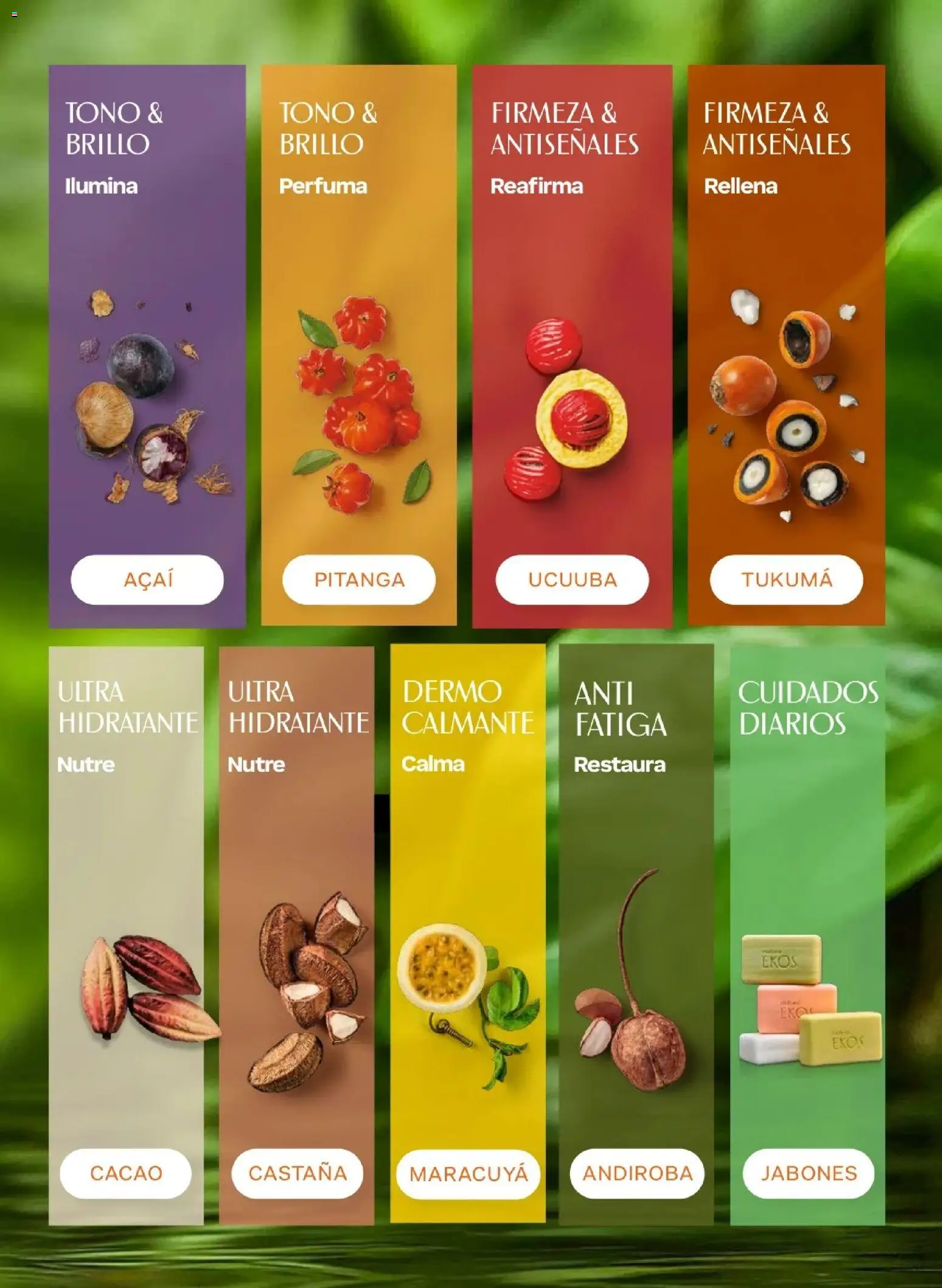 Natura catálogo  - Ciclo 7 del 31/03 ✨ Ahorre a lo grande con los folletos en línea! | Perú