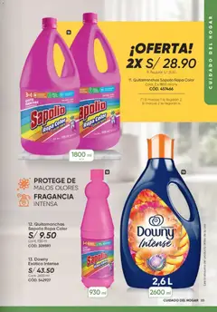 Vista previa de folleto Azzorti plus catálogo - Campaña 16 de la Azzorti válido desde 21/09/2026 | Página: 85 | Productos: Quitamanchas, Ropa, Té, Fragancia
