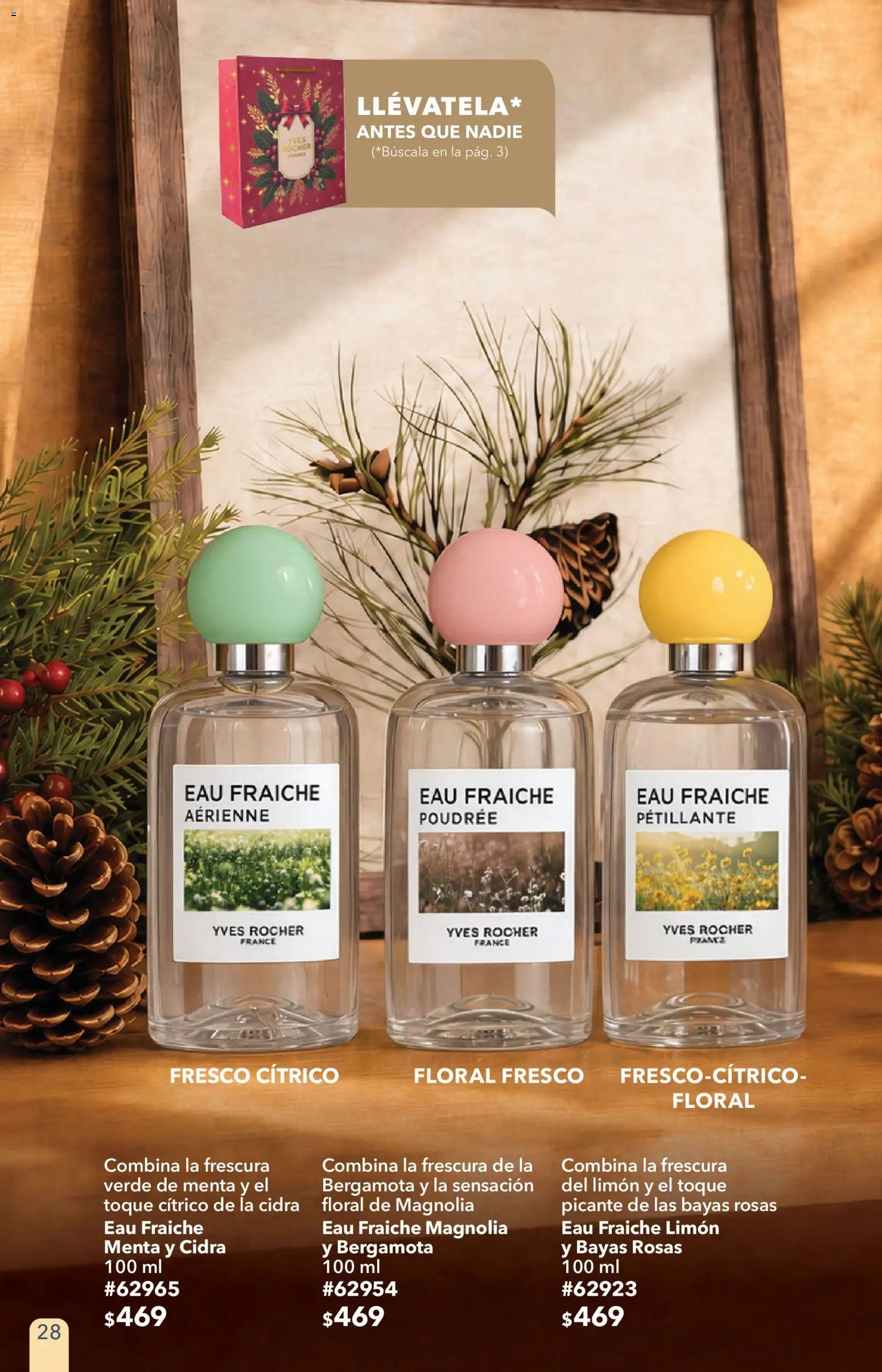 Nuevas ofertas de Yves Rocher válidas en toda la República Mexicana desde el 27/10/2026. ¡Encuentra las mejores ofertas en Yves Rocher campaña 15 2026! | Página: 28