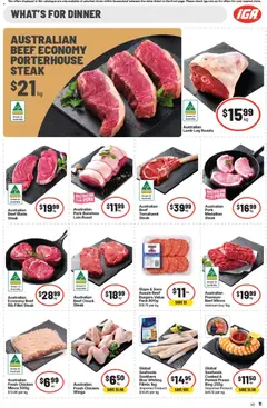 Preview of IGA catalogue - valid from 29/07/2026 | Page: 15