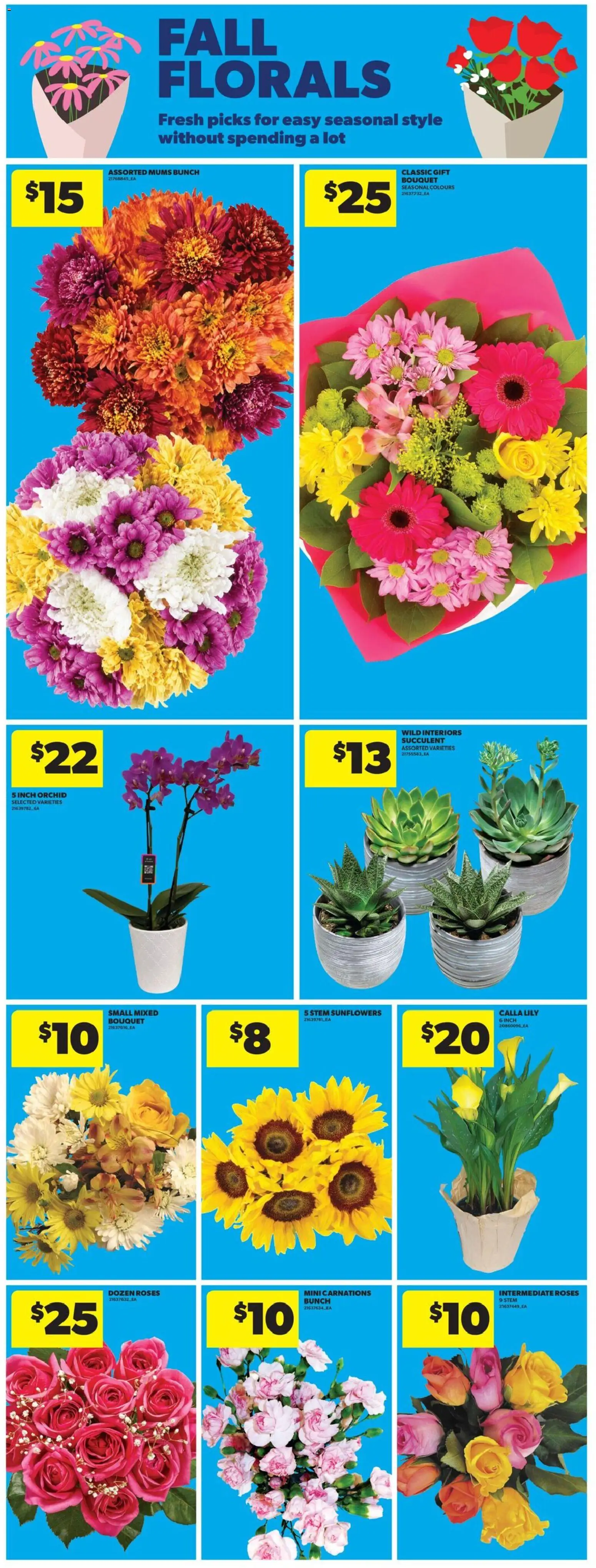 Real Canadian Superstore flyer valid from Aug 20, 2026 | Page: 13 | Products: Orchid